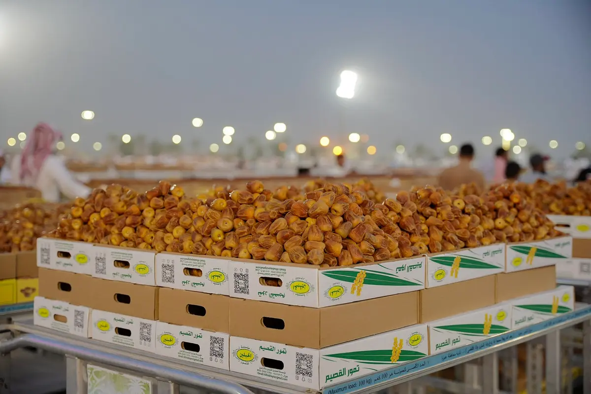 مزاد تمور الجوف.. فرصة استثمارية لزيادة الإنتاج ودعم المزارعين