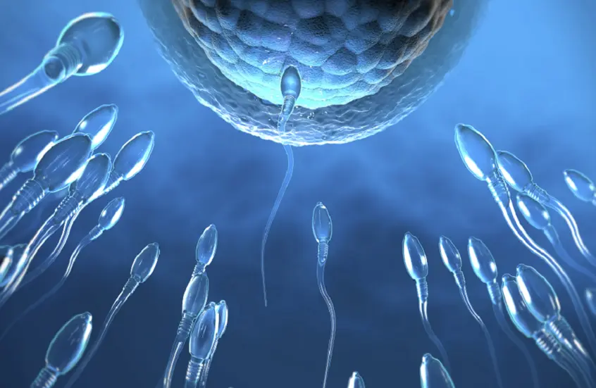 أسباب انخفاض حجم السائل المنوي عند الرجال ونصائح للوقاية