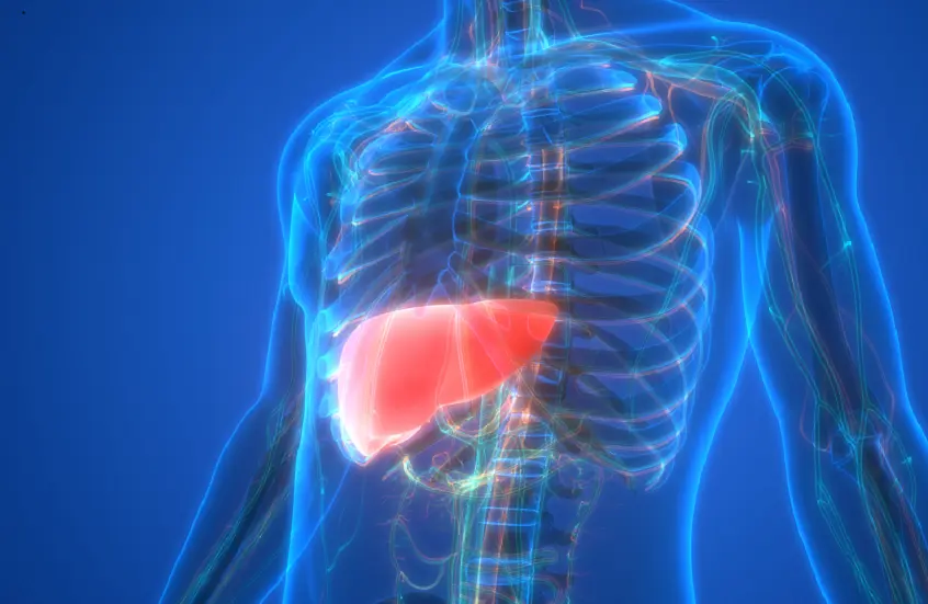 تغيير غذائي بسيط يبطئ تطور سرطان الكبد