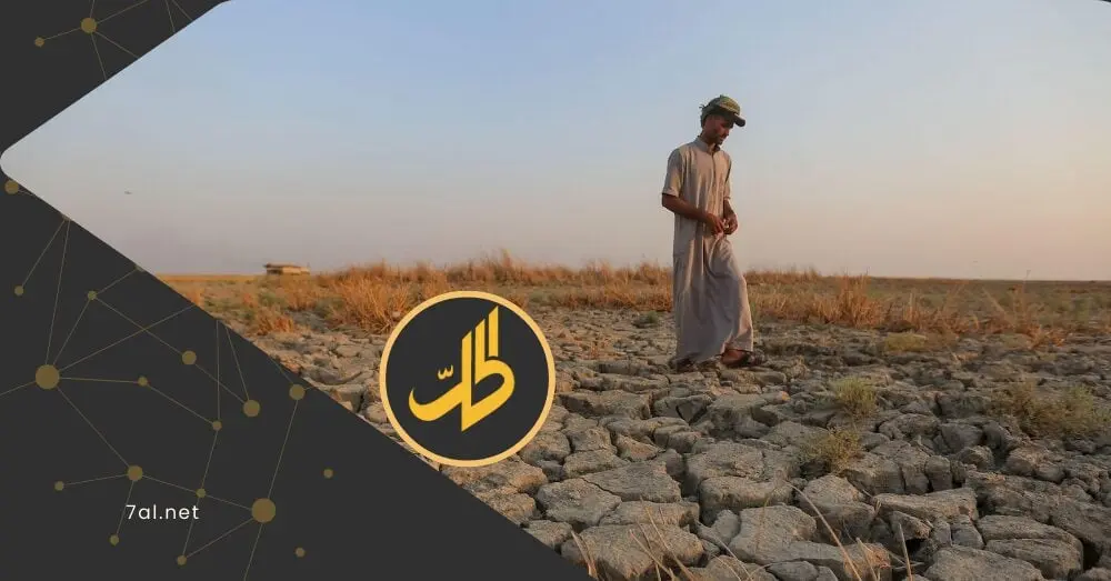 جفاف 2025 يضرب ريف دمشق.. الزراعة تنهار والمجتمعات على حافة الجوع