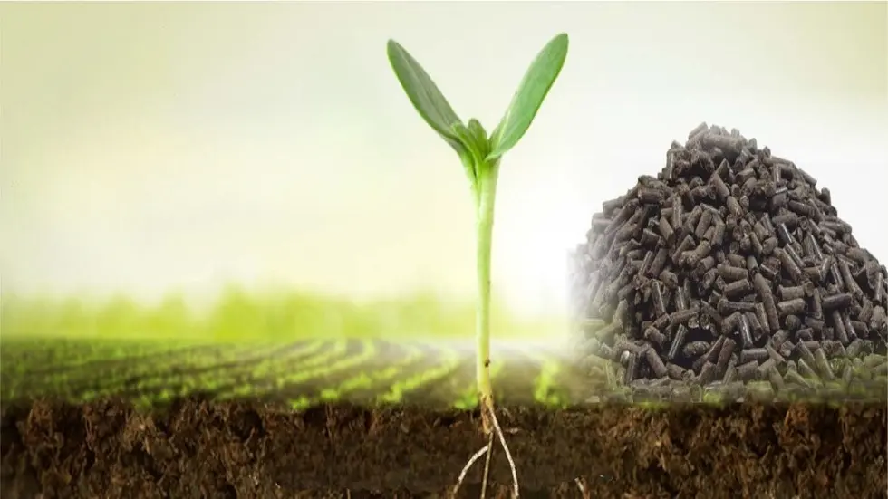 روسيا.. تطوير أسمدة ذكية قابلة للتكيف مع نوع التربة