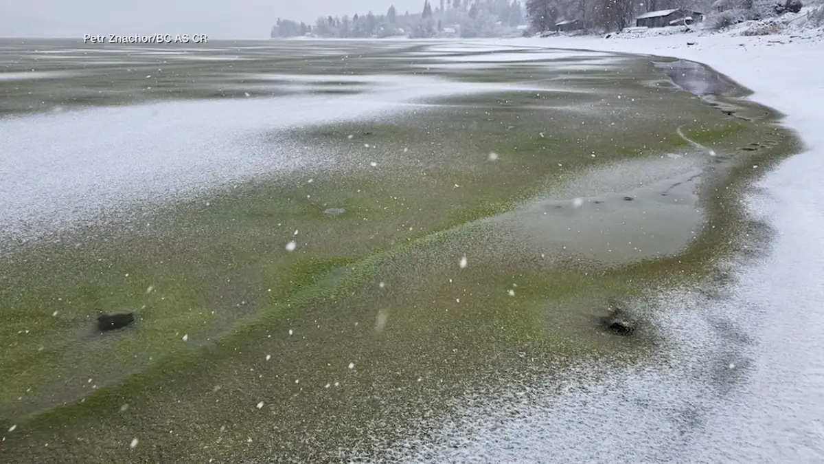 بحيرة في التشيك تتحول إلى لون أخضر غريب بعد تجمّدها