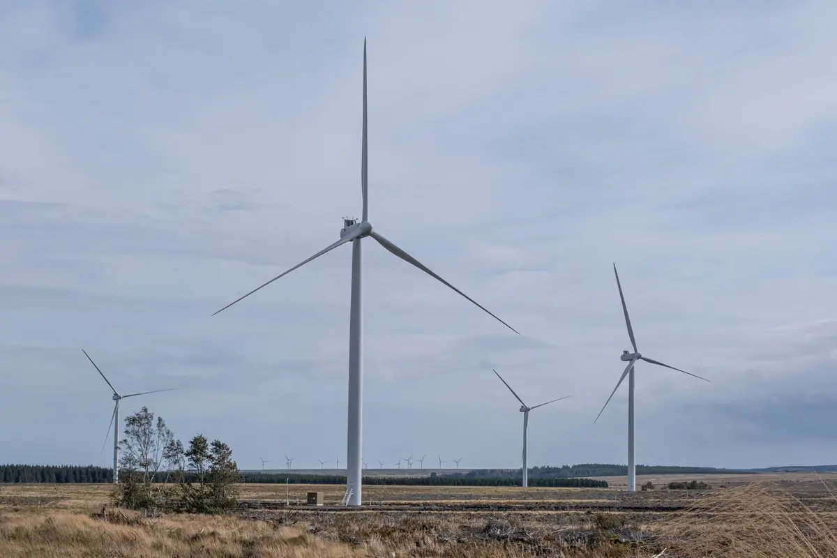 تحديث مزرعة رياح بتوربينات طولها 200 متر يواجه اعتراضات - الطاقة