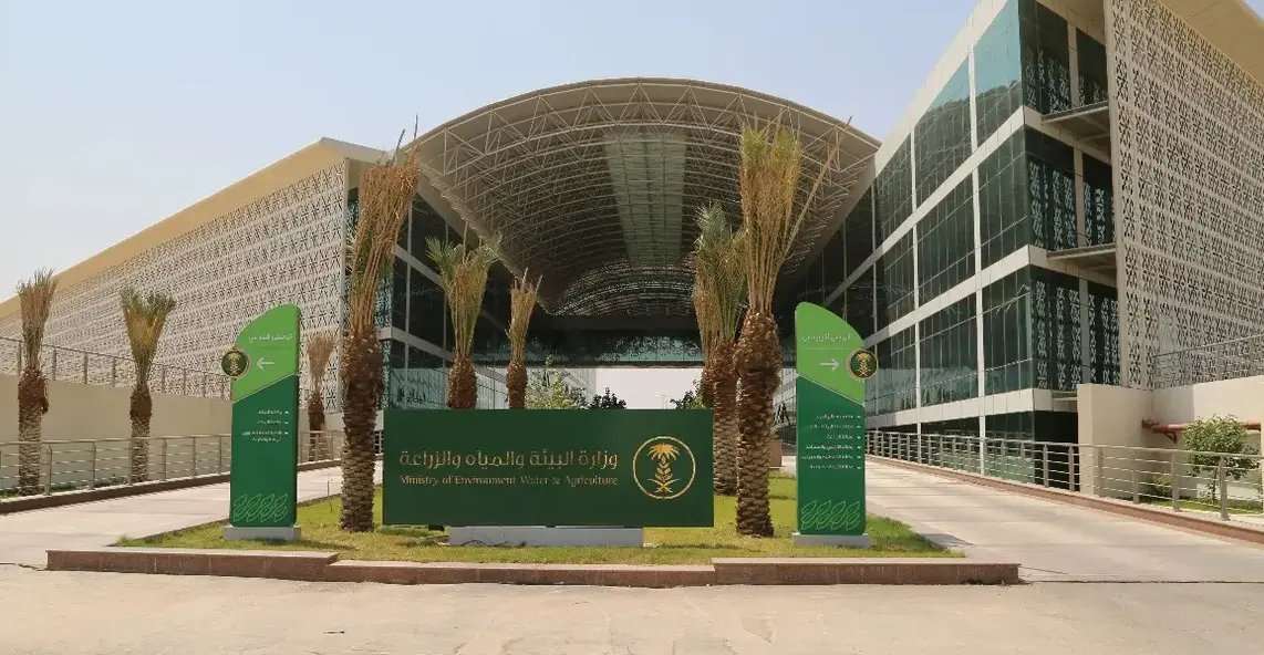 السعودية تعتزم إصدار جوازات سفر للإبل لتنظيم القطاع وتعزيز التوثيق