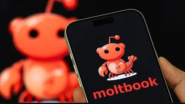 Moltbook.. منصة تواصل اجتماعي جديدة مستخدموها ليسوا بشرا