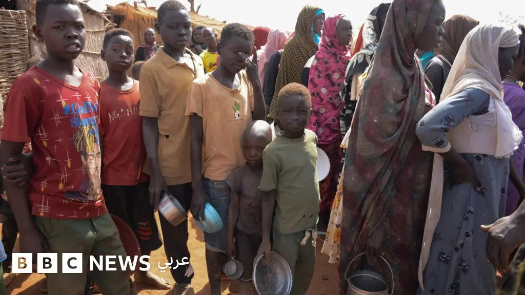 خبراء أمميون يحذّرون من توسّع خطر المجاعة في شمال دارفور مع تصاعد النزوح والمعارك - BBC News عربي