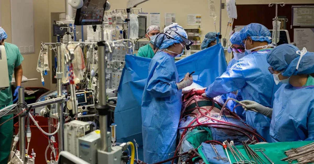 لأول مرة.. أطباء ينجحون في إبقاء مريض دون رئتين على قيد الحياة 48 ساعة