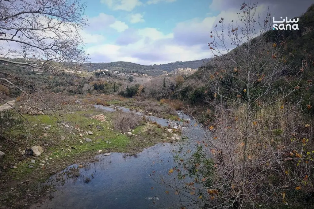 الطقس غائم جزئياً في عموم سوريا وفرصة لهطولات مطرية على عدد من المناطق