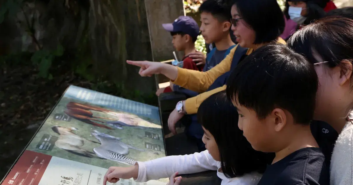 في عام الحصان..حديقة حيوانات تايوان تجذب الأضواء بخيول مهددة بالانقراض