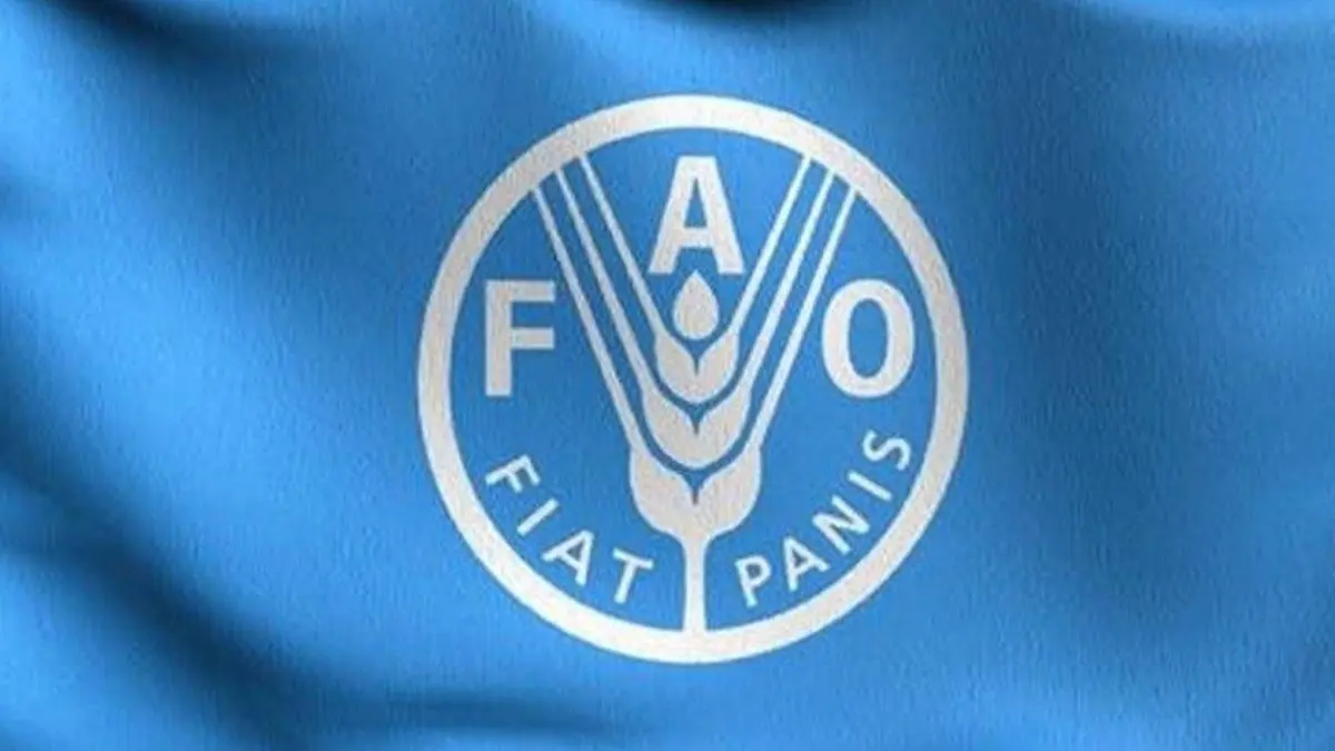 مؤشر "الفاو" لأسعار الغذاء العالمية يواصل الانخفاض للشهر الخامس على التوالي