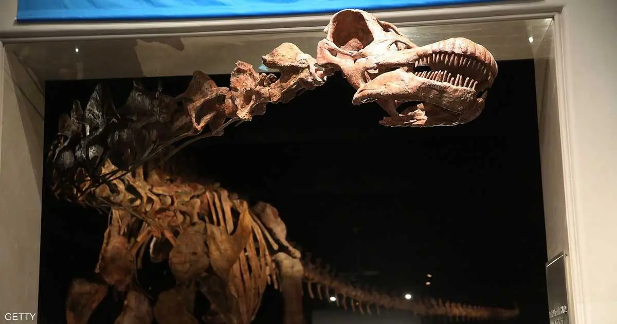 الذكاء الاصطناعي يفك لغز آثار أقدام الديناصورات