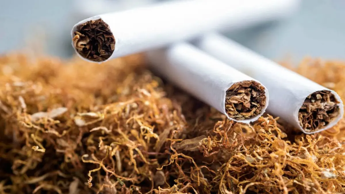 "تبغ" داخل "ورق العنب".. الاحتلال يحبط تهريبا إلى غزة في "كرم أبو سالم" ويعاقب شركة "إسرائيلية"