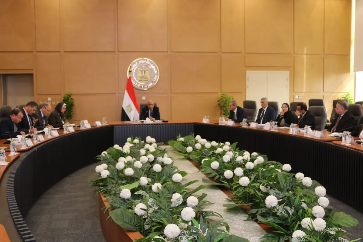 وزير الكهرباء يجتمع برؤساء شركات الإنتاج لخفض استهلاك الوقود الصيف القادم - أموال الغد