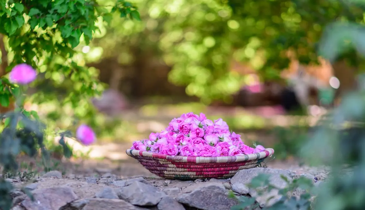 بمناسبة يوم التأسيس: لمسات جمالية استوحيها من التراث السعودي