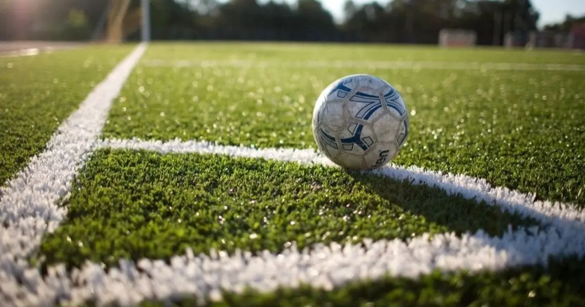 ليس لأصحاب القلوب الرحيمة.. شاهد سبب شطب حكمين في مصر