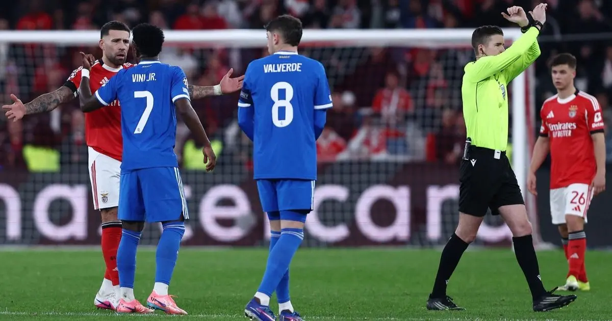 "اتهام يصعب إثباته".. أنباء "غير سارة" لفينيسيوس بعد أزمة بنفيكا