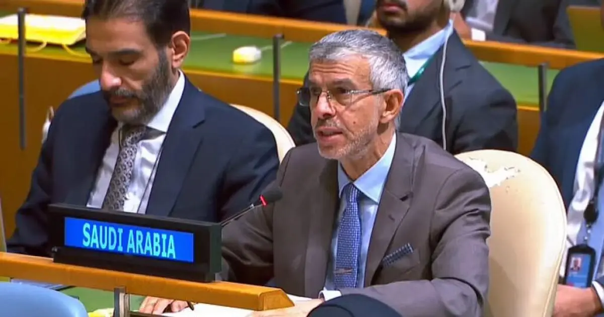 السعودية تدعو لحل سياسي يضمن وحدة السودان