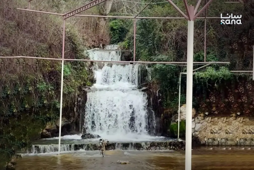 الأمطار الغزيرة تُعيد الحياة لنبع الدلبة في ريف طرطوس