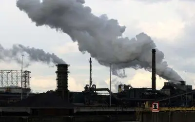 ماذا تعرف عن "الحياد الصفري"؟