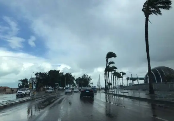 توقعات حالة الطقس غدا في مصر.. دافىء نهارا شديد البرودة ليلا - أموال الغد