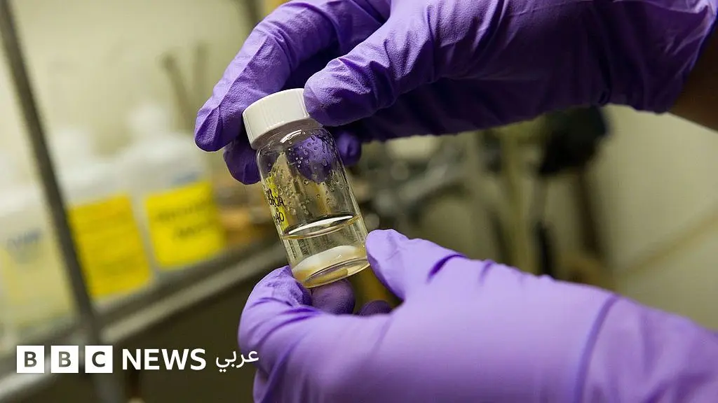 باحثون: "لقاح واحد قد يحمي من جميع أنواع السعال ونزلات البرد والإنفلونزا" - BBC News عربي