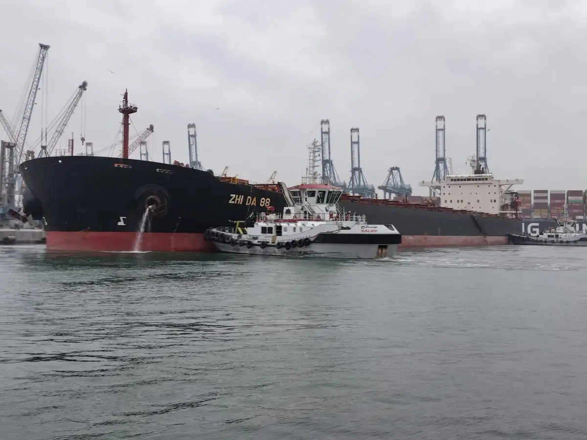 مصر تستقبل شحنة ضخمة من القمح الروسي