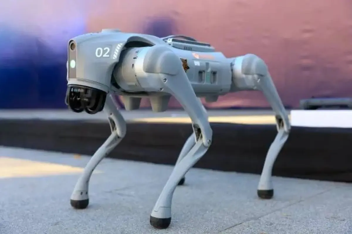 هاشتاق عربي - "كلاب آلية" تكافح الجريمة في كأس العالم بالمكسيك