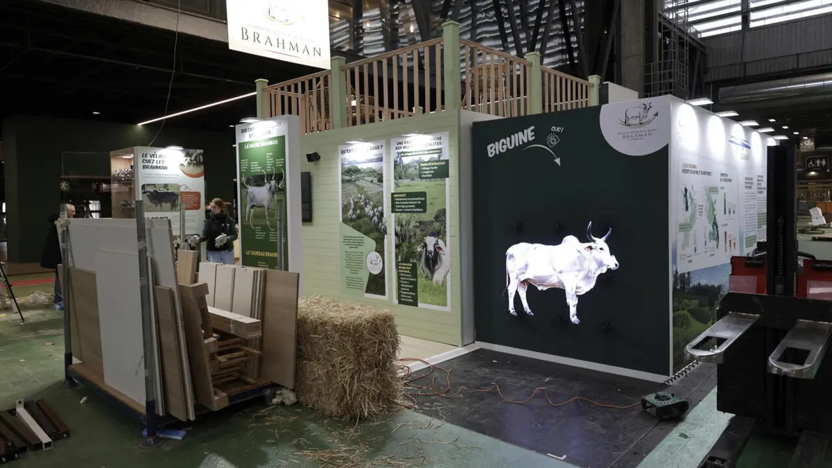 فرنسا: افتتاح المعرض الدولي للفلاحة بباريس وسط مقاطعة مزارعين وغياب قطاع الأبقار