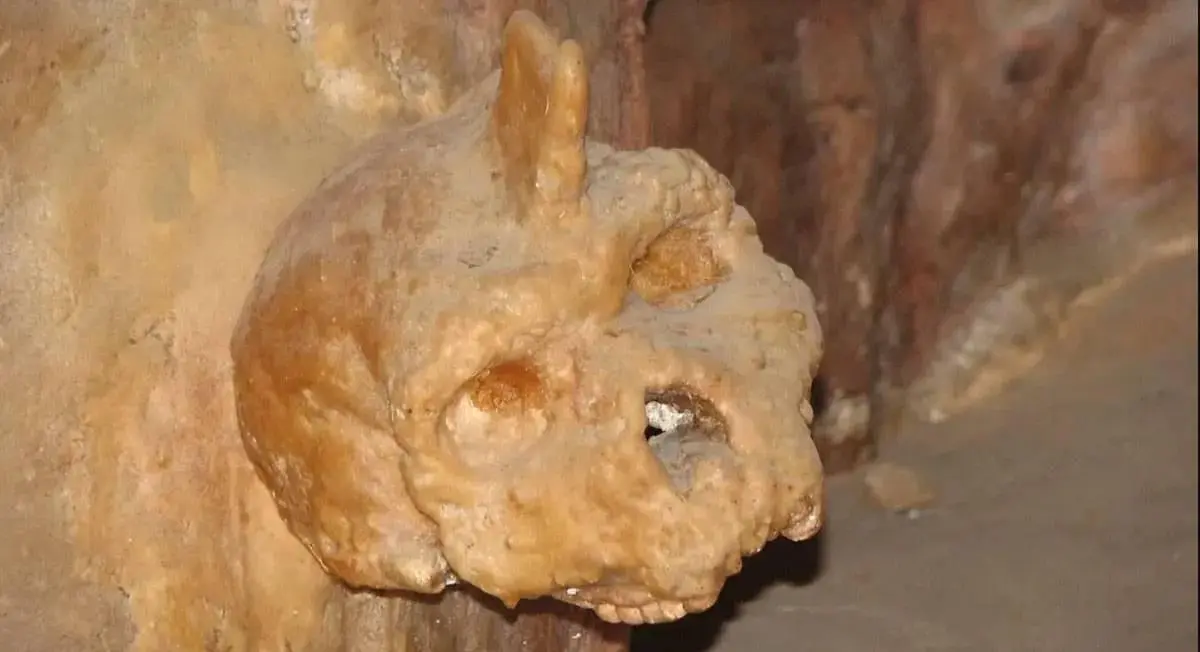 جمجمة يونانية تعود إلى نحو 300 ألف عام تسلّط الضوء على سلالات بشرية مبكرة في أوروبا