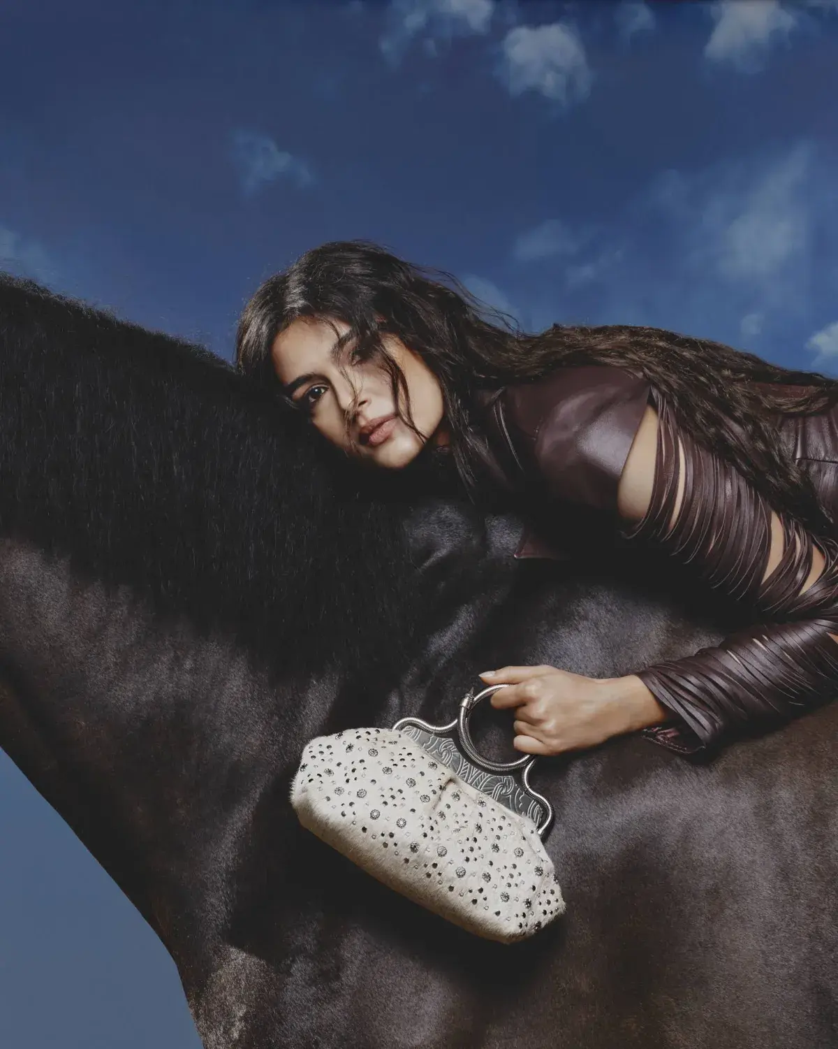 الحصان… من التعقيد الميكانيكي إلى تطويع الجلود