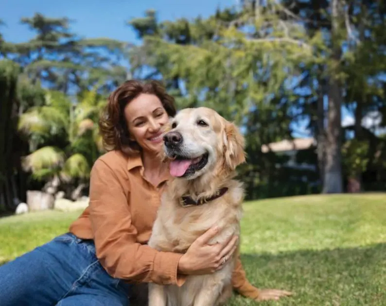 ضوابط لاصطحاب حيوانات الرفقة في فنادق أبوظبي