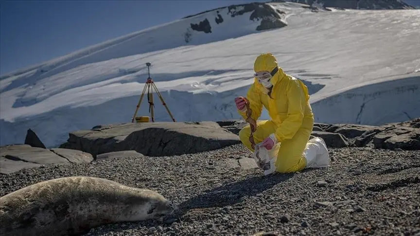 باحثون أتراك يدرسون كائنات أنتاركتيكا لتطوير حلول صحية وزراعية مستدامة