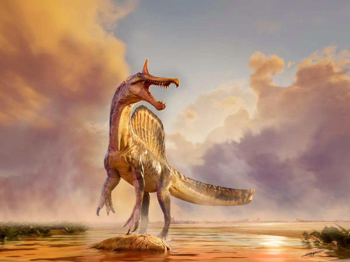 الديناصور ذو العرف.. اكتشاف غير مسبوق في صحراء النيجر