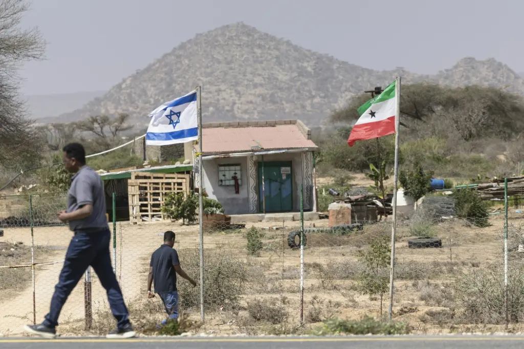 أرض الصومال مستعدة لمنح واشنطن نفاذا إلى معادنها وقواعد عسكرية فيها