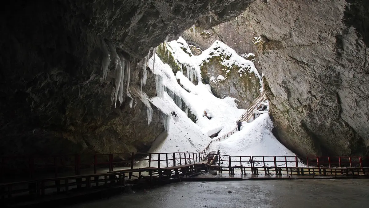 اكتشاف بكتيريا محبوسة بالجليد قد تحمل مفتاح مكافحة الجراثيم الخارقة