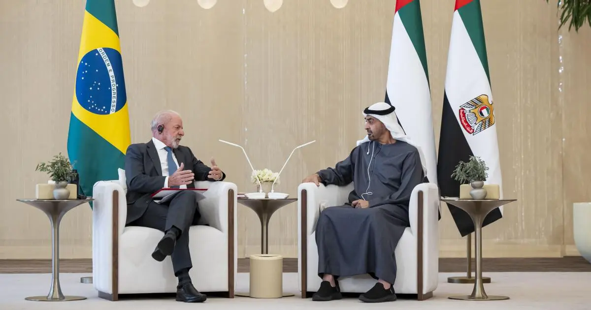 رئيسا الإمارات والبرازيل يبحثان تعزيز الشراكة الاستراتيجية