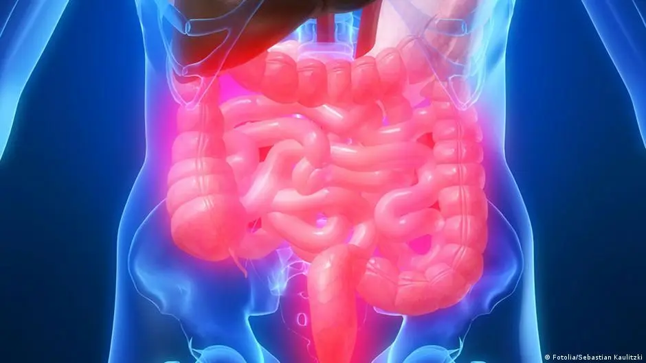 "صوموا تصحوا".. الامتناع عن الطعام يقوي المناعة!