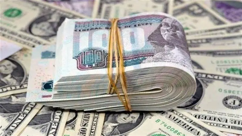 سعر الدولار في مصر اليوم الثلاثاء 24 فبراير 2026