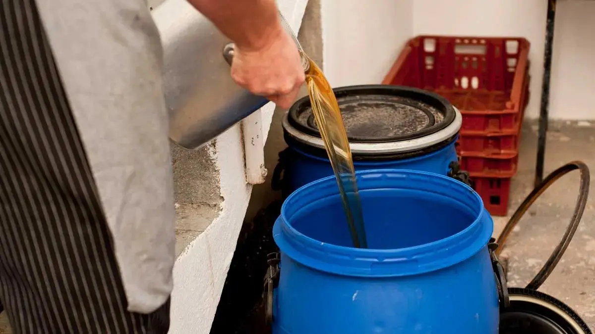 باستثمارات 15.6 مليون دولار.. "المانع" القطرية تخطط لإنشاء مصنع جديد في مصر - Economy Plus