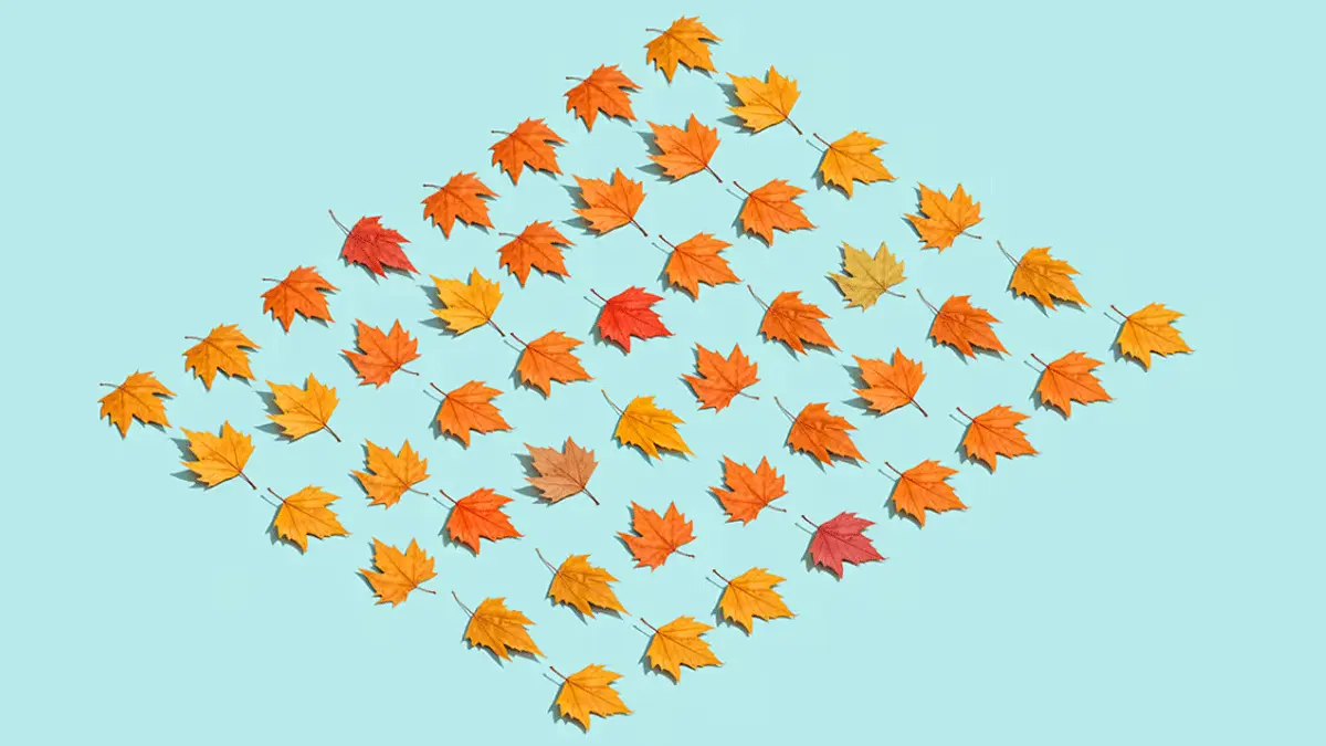 تعلم وضع معايير واقعية لفريق العمل لديك