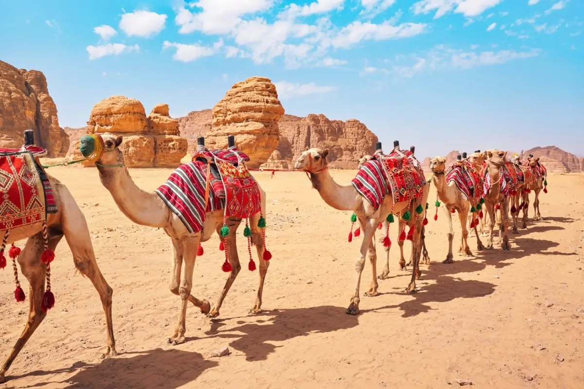 يوم السياحة العربية.. تواصل بين التراث والتنمية المستدامة