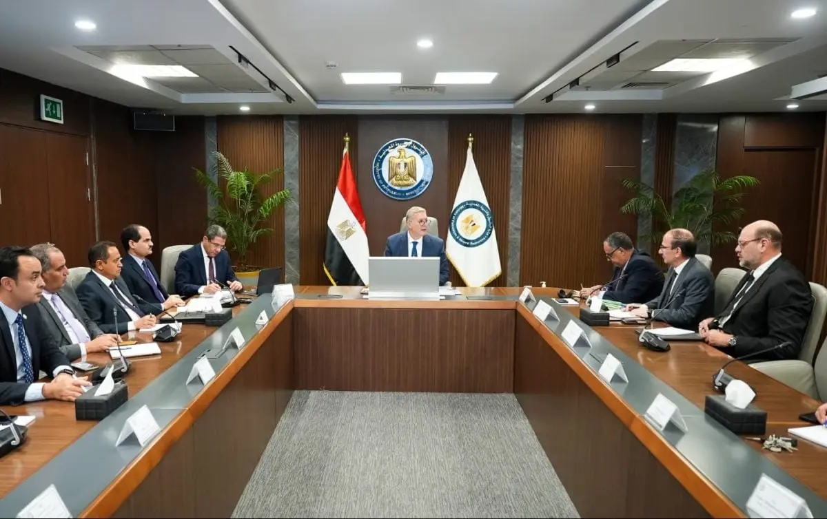 شركة إماراتية تطور اكتشاف غاز في مصر - الطاقة