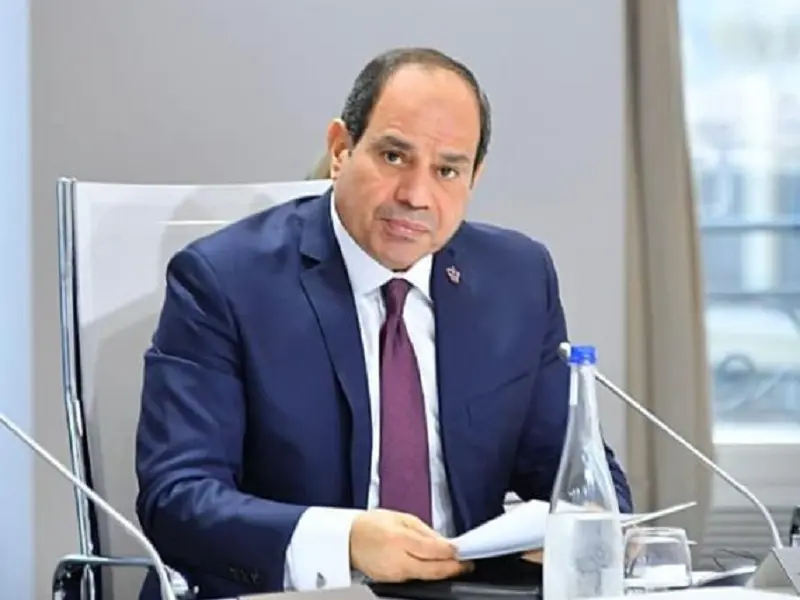 الرئيس السيسي يستقبل قيادات سكاتك وإنفجين لتعزيز استثمارات الطاقة المتجددة - أموال الغد