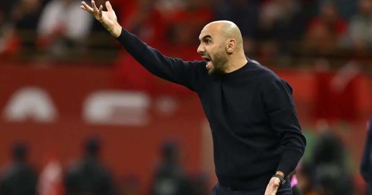 مدرب محليّ.. المغرب يستقر على خليفة وليد الركراكي