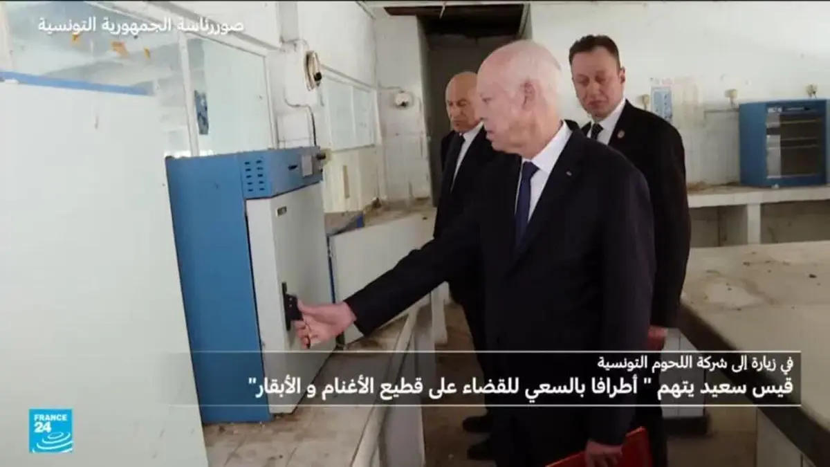 قيس سعيد يتهم "أطرافا بالسعي للقضاء على قطيع الأغنام و الأبقار"