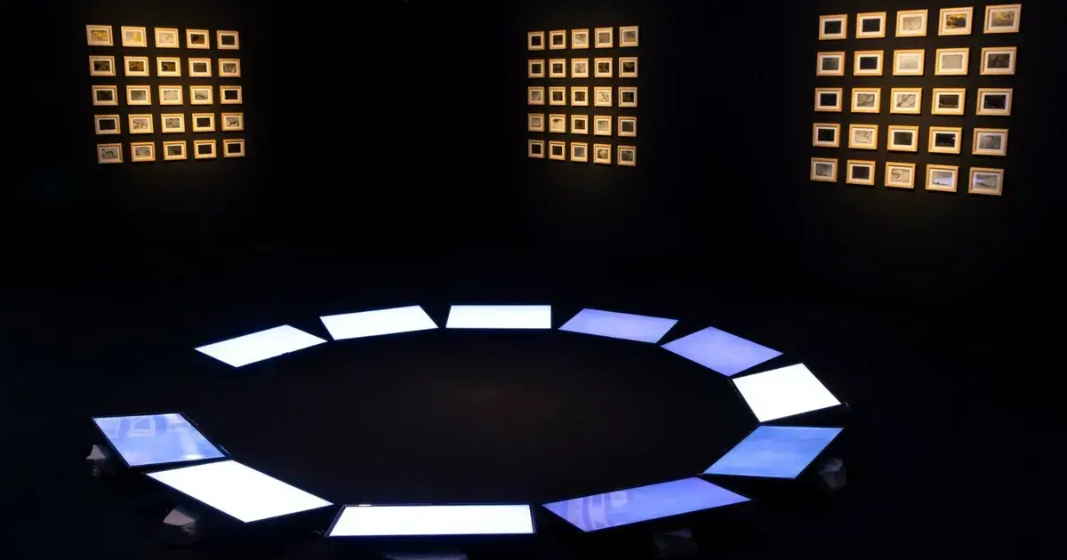 "منطق الطير" للشاعر فريد الدين العطار محور جناح أستراليا في البينالي