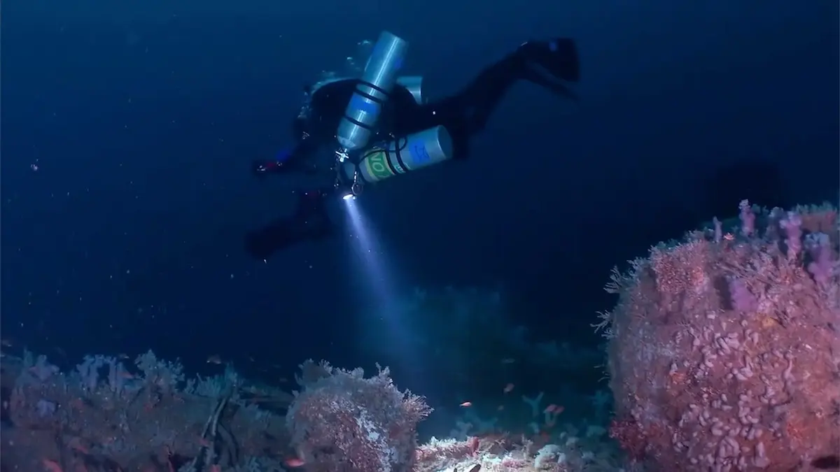 مغامر إماراتي يستكشف حطام سفينة غامضة في قاع مياه بحر رأس الخيمة