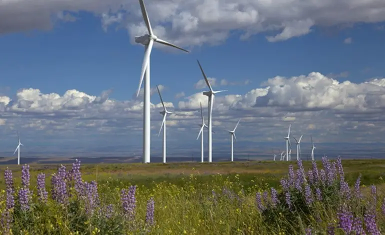 إبيردرولا تتخلص من استثمارات الطاقة المتجددة البرية في فرنسا - الطاقة