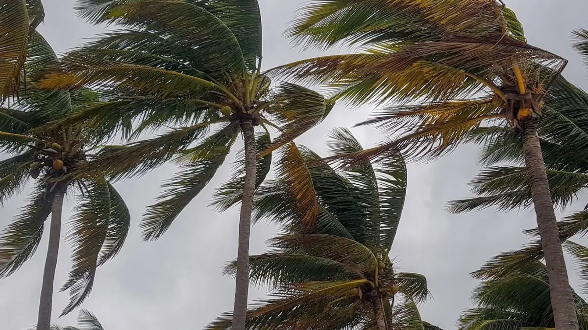 طقس العرب يوضح تفاصيل الكتلة الهوائية شديدة البرودة التي تؤثر على الأردن