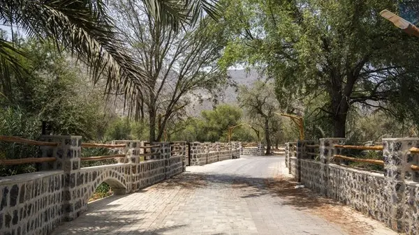 زهرة الخليج - انضمام «قرية قدفع» بالفجيرة إلى شبكة «FAO MuNe» العالمية